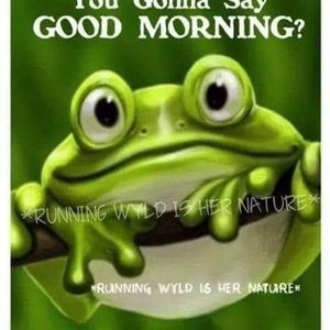 Meet your Posher, Clara